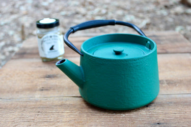 Side view of textured teal cast iron teapot with arched handle