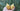 Hand holding two pure yellow beeswax votive candles with cotton wicks