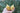 Hand holding two pure yellow beeswax votive candles with cotton wicks