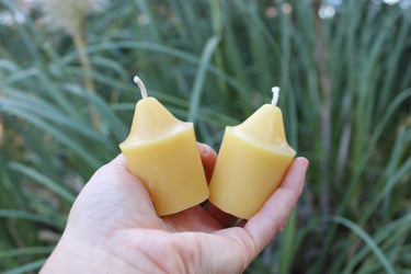 Hand holding two pure yellow beeswax votive candles with cotton wicks