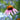 honey bees on an echinacea flower