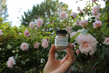 Rose Petal Powder ~ Organic Petals Fresh Ground for Delectable Culinary Creations - Blue Sage Family Farm - Blue Sage Family Farm