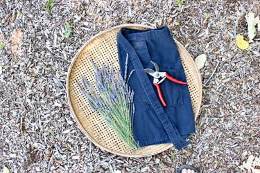 Rosemary Apron In Dusky Black - 7oz Duck Cotton - Blue Sage Family Farm - Blue Sage Family Farm
