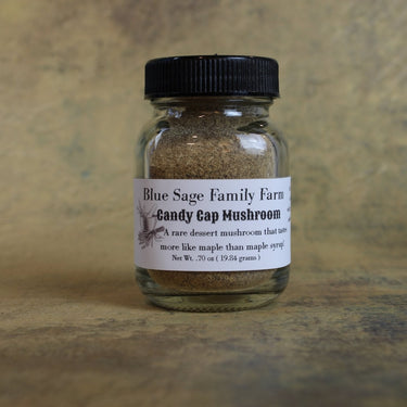 Candy Cap Mushroom Powder ~ Maple Syrup Mushroom Wild Foraged - Blue Sage Family Farm - Blue Sage Family Farm
