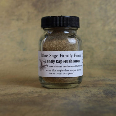 Candy Cap Mushroom Powder ~ Maple Syrup Mushroom Wild Foraged - Blue Sage Family Farm - Blue Sage Family Farm