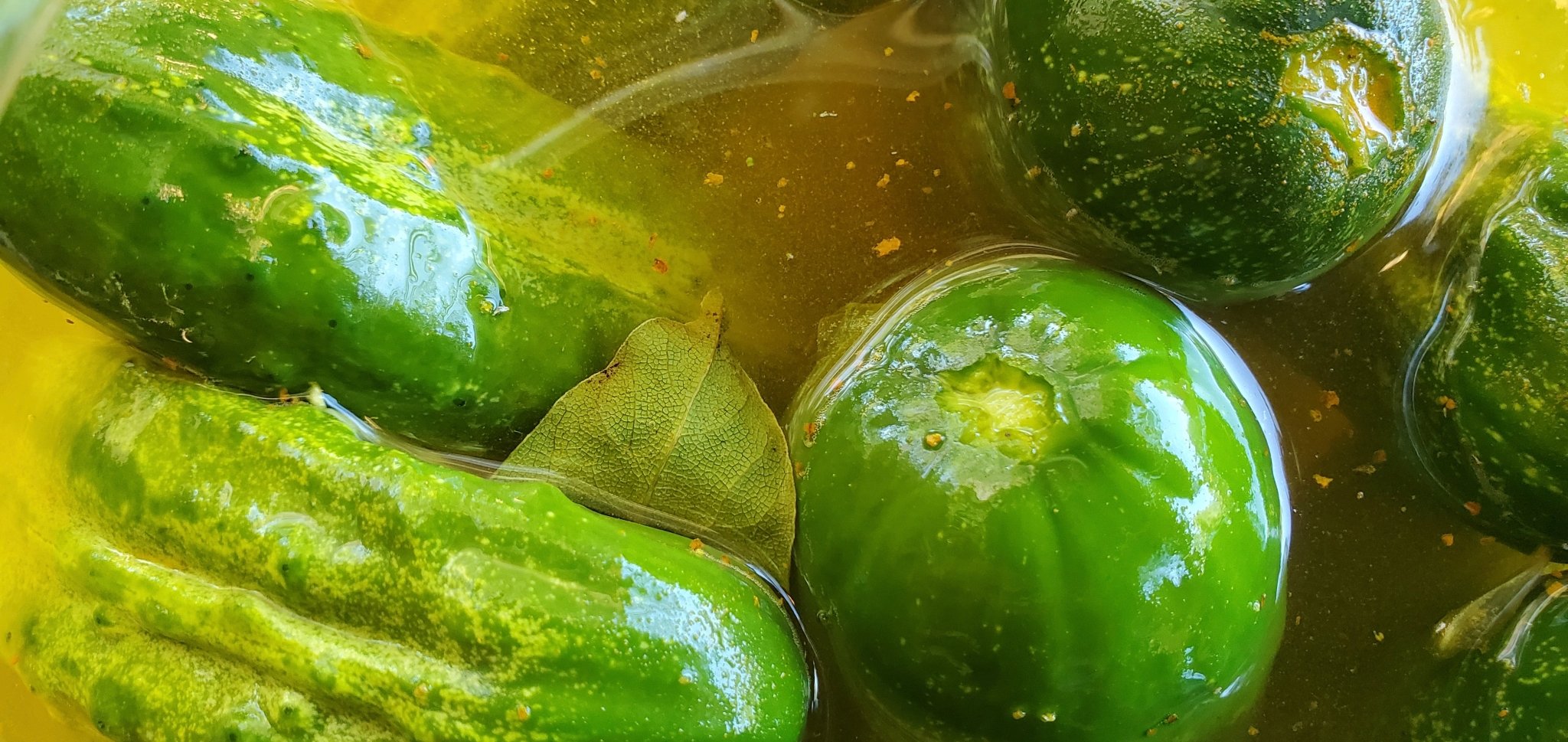 Simple Sour Pickle Recipe-Farm Fresh Fermentation – Blue Sage Family Farm