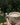 Holding a mug of black tea with honey and cream in front of a flower bed