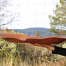 Side profile of large Madrone tray showing thin curling edges and shallow wavy bowl