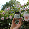 Rose Petal Powder ~ Organic Petals Fresh Ground for Delectable Culinary Creations - Blue Sage Family Farm - Blue Sage Family Farm