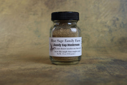 Candy Cap Mushroom Powder ~ Maple Syrup Mushroom Wild Foraged - Blue Sage Family Farm